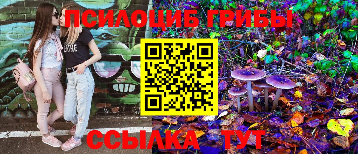 Псилоцибиновые грибы Magic Shrooms  Галлюциногенные грибы GOLDEN TEACHER  Вход с VPN  где продают наркотики  Лесосибирск 